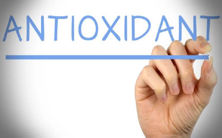 Antioksidan, Sumber : primaberita.com
